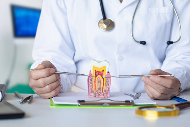 Best Emergency Pediatric Dental Care in Providence Village, TX